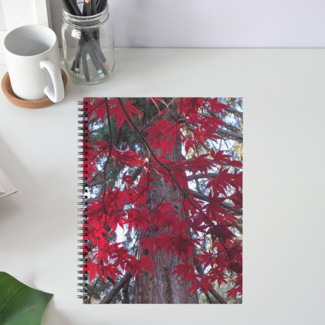 Carnet Feuilles d'érable rouge et Séquoia géant (In Situ)