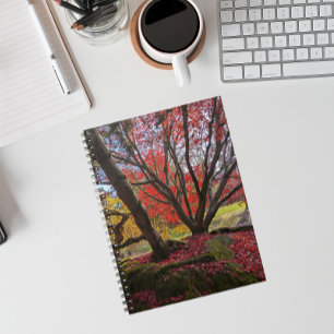 Carnet Feuilles et arbres d'automne colorés Paysage