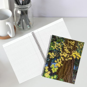 Carnet Feuilles Jaunes d'Érable et Sapin de Douglas