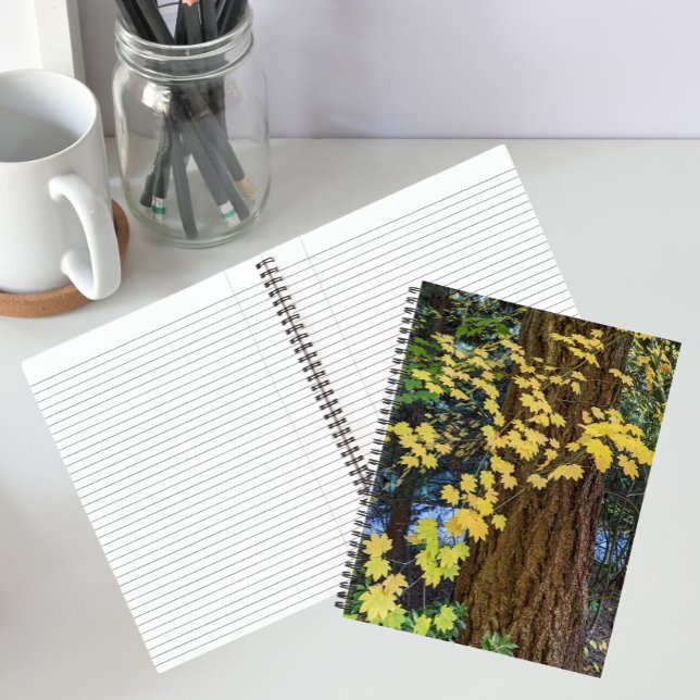 Carnet Feuilles Jaunes d'Érable et Sapin de Douglas (In Situ)