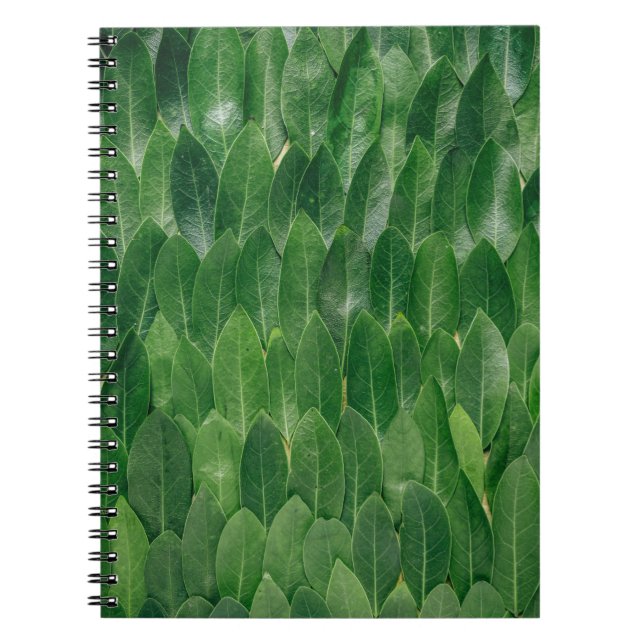 Carnet Feuilles plantes rouges (Devant)