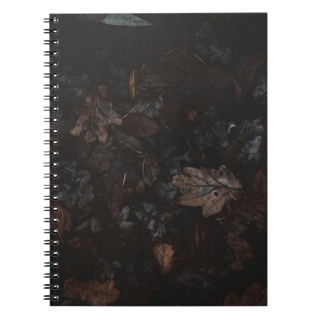 Carnet Feuilles séchés (Devant)