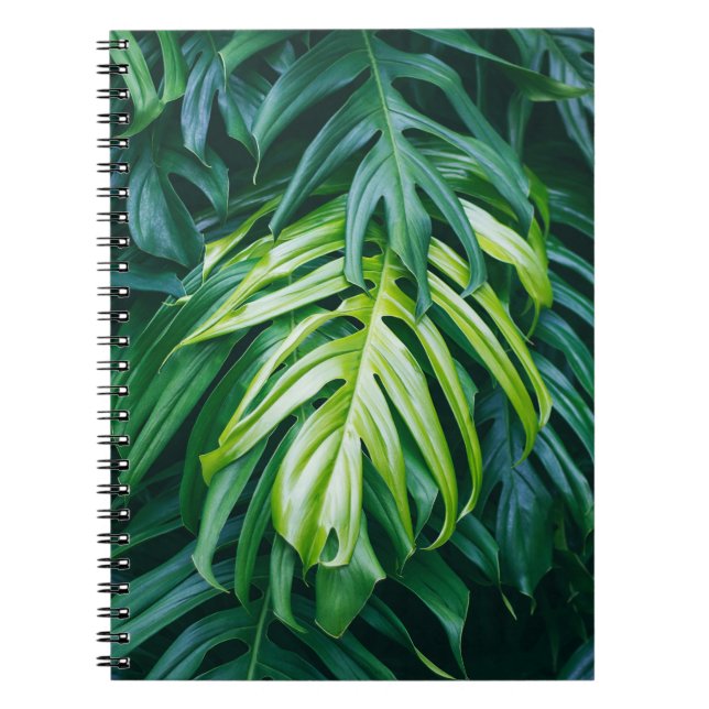 Carnet Feuilles tropicaux : arrière - plan de nature somb (Devant)