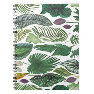 Carnet Feuilles tropicaux : arrière - plan transparent aq