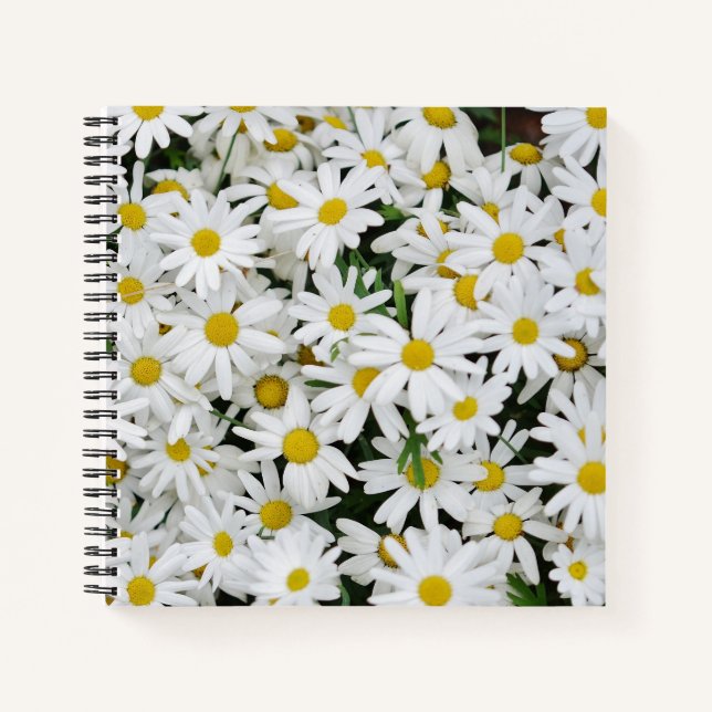 Carnet Field of Daisies Photo (Devant)