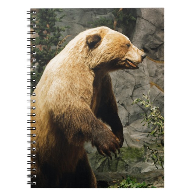 Carnet Fière Ours (Devant)
