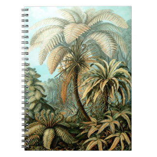 Carnet Filicinae d'Ernst Haeckel (Fermes d'arbres)
