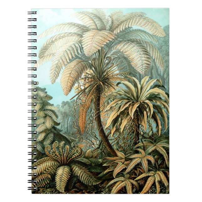 Carnet Filicinae d'Ernst Haeckel (Fermes d'arbres) (Devant)
