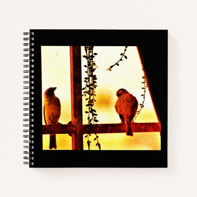Carnet Finch Friends (Devant)