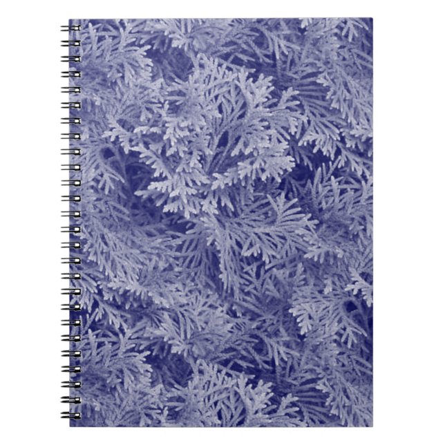 Carnet Fir bleu (Devant)