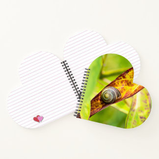 Carnet fixation calme