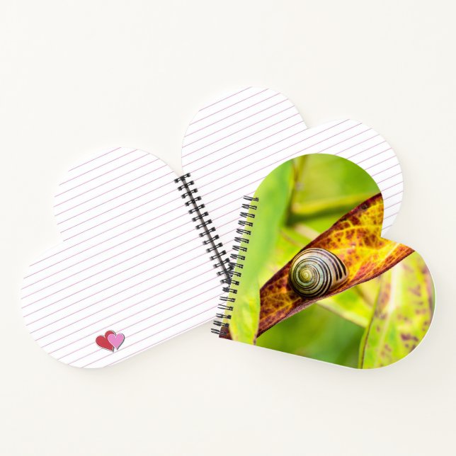 Carnet fixation calme (Intérieur)
