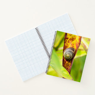 Carnet fixation calme