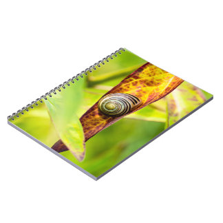 Carnet fixation calme