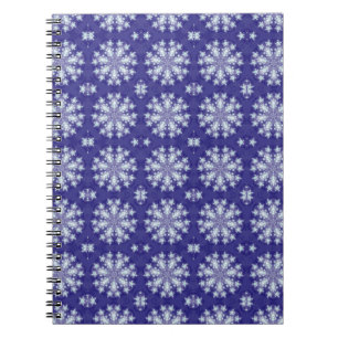 Carnet Flacons de neige congelés