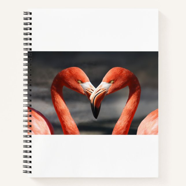 Carnet Flamant de la Saint-Valentin (Devant)