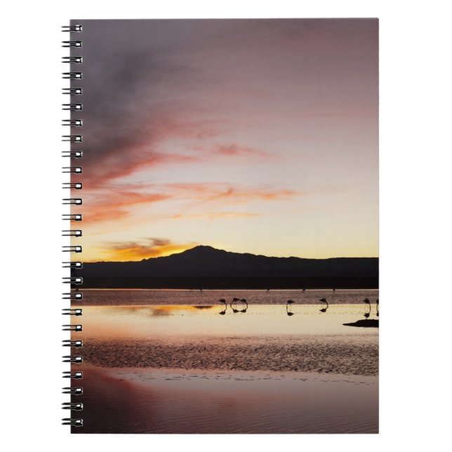 Carnet Flamant du Chili (Devant)