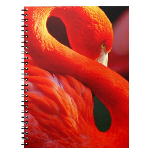 Carnet Flamant rose (Devant)