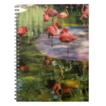 Carnet Flamant rose