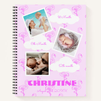 Carnet Flamant rose 1er anniversaire Baby Milestone
