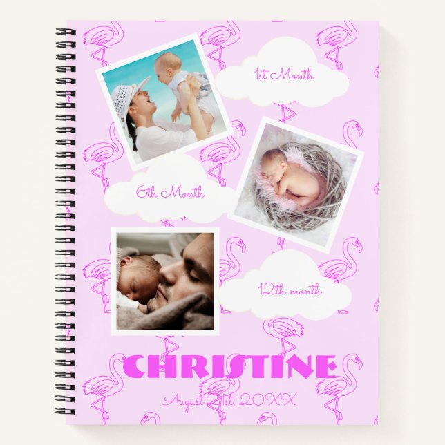 Carnet Flamant rose 1er anniversaire Baby Milestone (Devant)