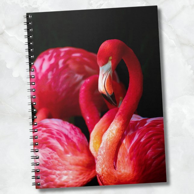 Carnet Flamant rose moderne Tropical Rose (Modern Tropical Pink Flamingo notebook)