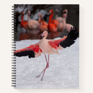 Carnet Flamant rose rose dansant faisant la photo flamenc