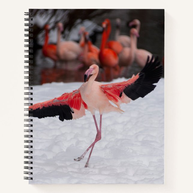 Carnet Flamant rose rose dansant faisant la photo flamenc (Devant)