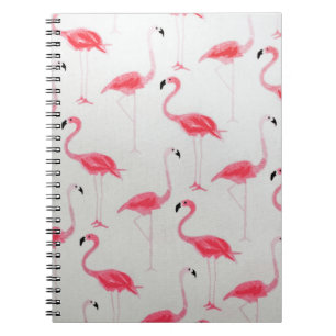 Carnet Flamant rose rose Flamant rose de dessin Artiste r