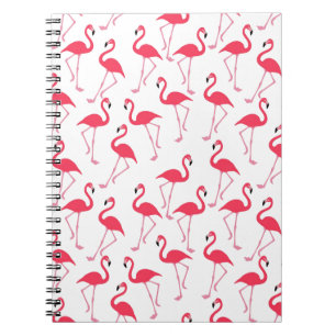 Carnet flamants Flimingos