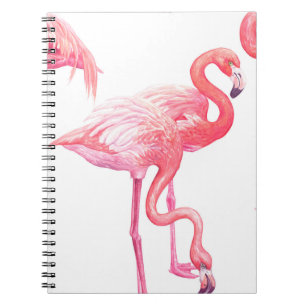 Carnet Flamants roses