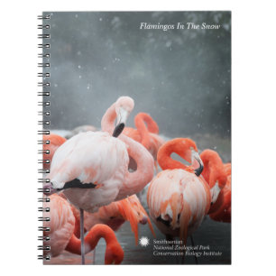 Carnet Flamants roses de Smithsonien dans la neige