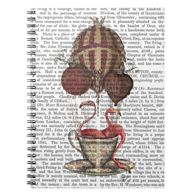 Carnet Flamants roses en Teacup (Devant)