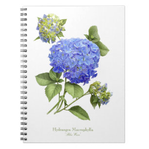 Carnet Fleur Blue Hydrangea