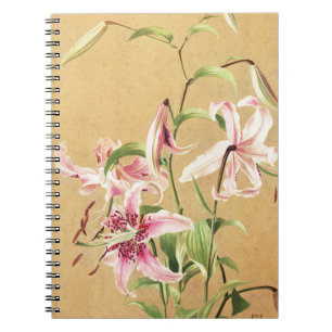 Carnet Fleur Botanique Art Déco Lys Oriental Rose Vintage