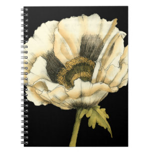 Carnet Fleur crème de pavot sur l'arrière - plan noir