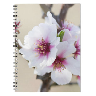 Carnet Fleur d'amande