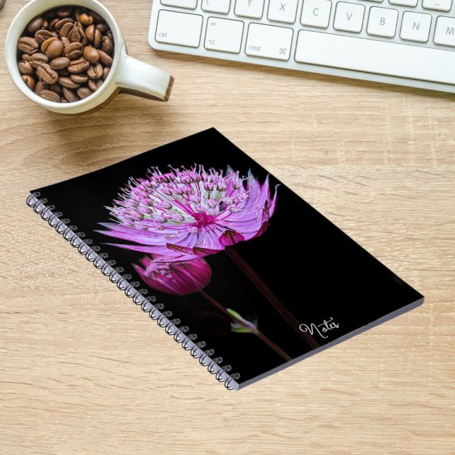 Carnet Fleur d'Astrantia rose sur fond floral noir (In Situ)