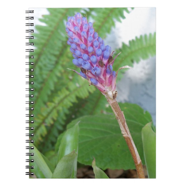 Carnet Fleur de Bromélie à cône bleu (Devant)
