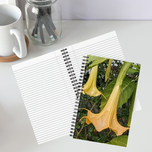 Carnet Fleur de Brugmansia jaune florale (In Situ)