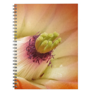 Carnet Fleur de cactus orange