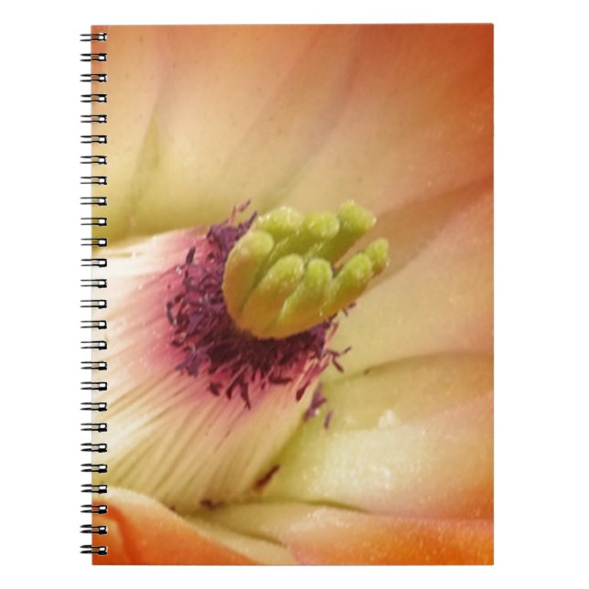 Carnet Fleur de cactus orange (Devant)