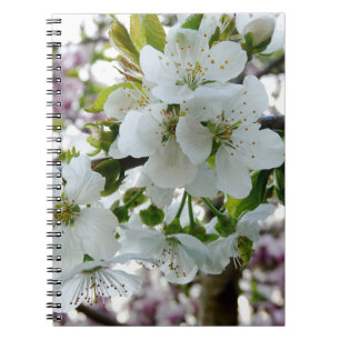 Carnet Fleur de cerise