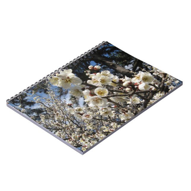 Carnet Fleur de cerisier blanc / Sakura / サクラ（桜） (Côté gauche)