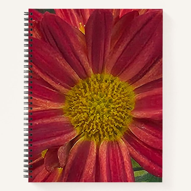 Carnet Fleur de chrysanthème (Devant)