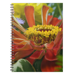 Carnet fleur de chrysanthème