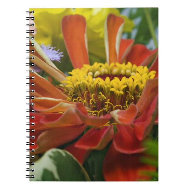 Carnet fleur de chrysanthème (Devant)