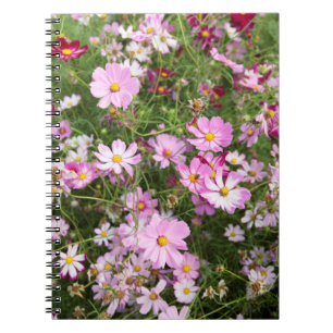 Carnet Fleur de Cosmos (Bidens Formosa). Kirkwood