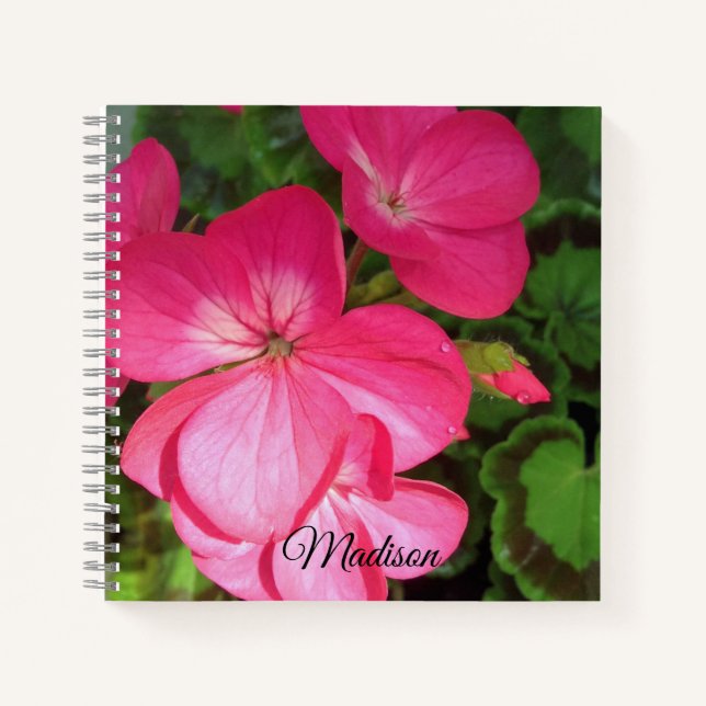 Carnet Fleur de géranium rose avec gouttes d'eau Photo (Devant)