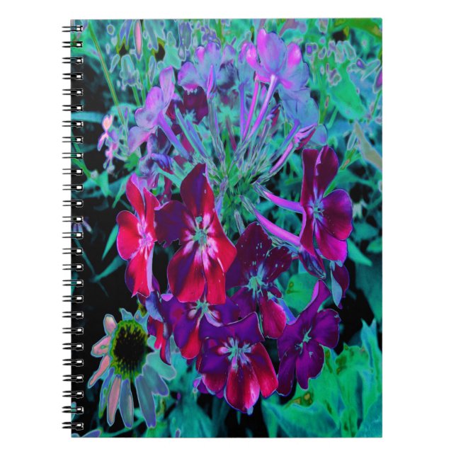 Carnet Fleur de jardin rouge, violet et rose (Devant)